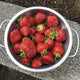 SEASCAPE STRAWBERRY