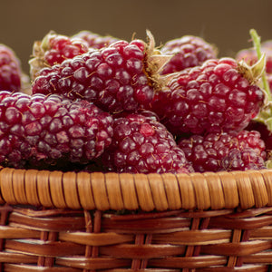 TAYBERRY-TAYBERRY