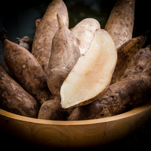 Close-up of Yacon roots showcasing a sliced white-fleshed root and brown-skinned tubers in a wooden bowl