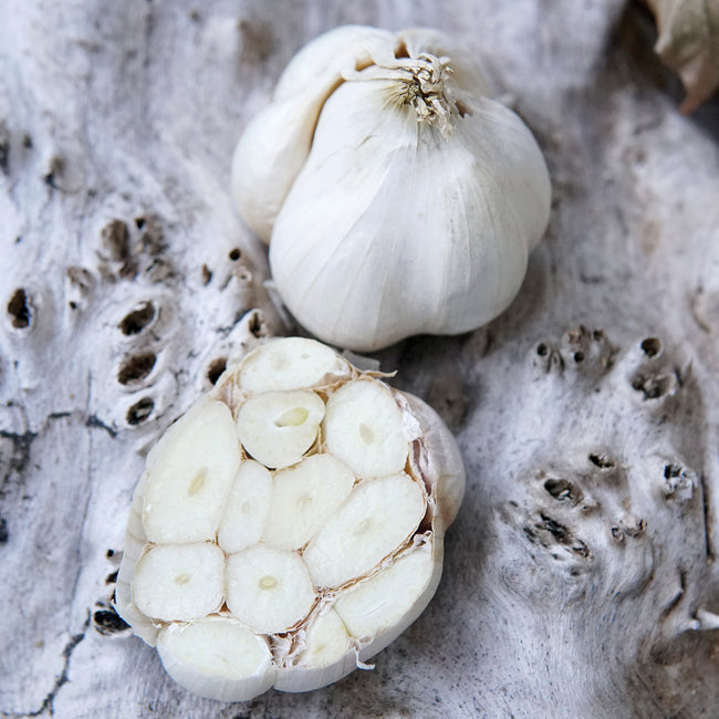 Close-up of Transylvanian softneck garlic bulbs showing a halved bulb and purple-streaked skins on a light textured surface