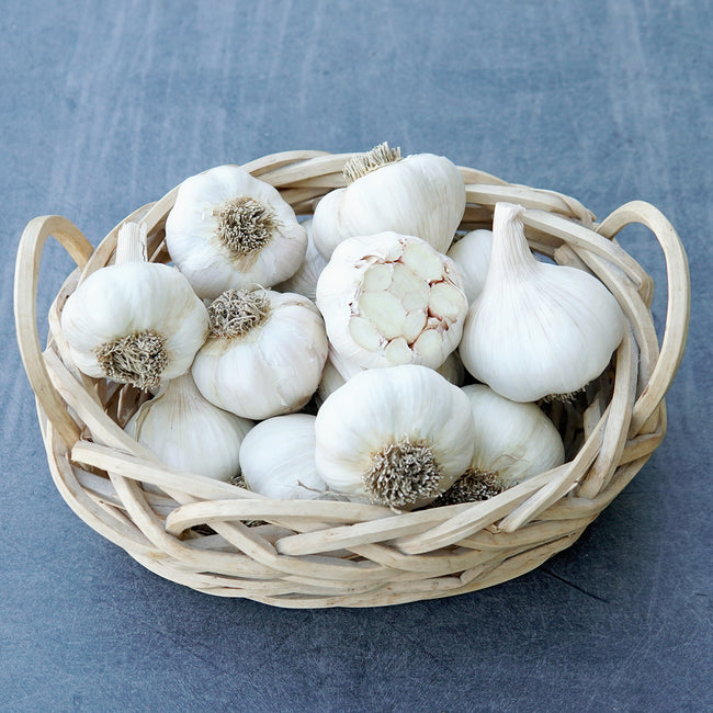 Top-down view of Silver Rose softneck garlic bulbs in a woven basket, one head cut to show cloves, on gray background