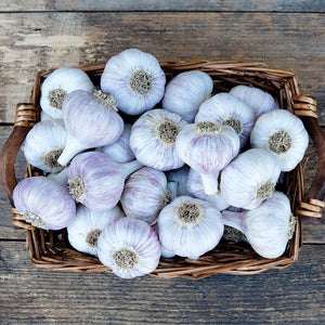 Top-down view of Chesnok Red garlic heads showing purple-striped wrappers and pink clove skins in a bowl on a wooden surface