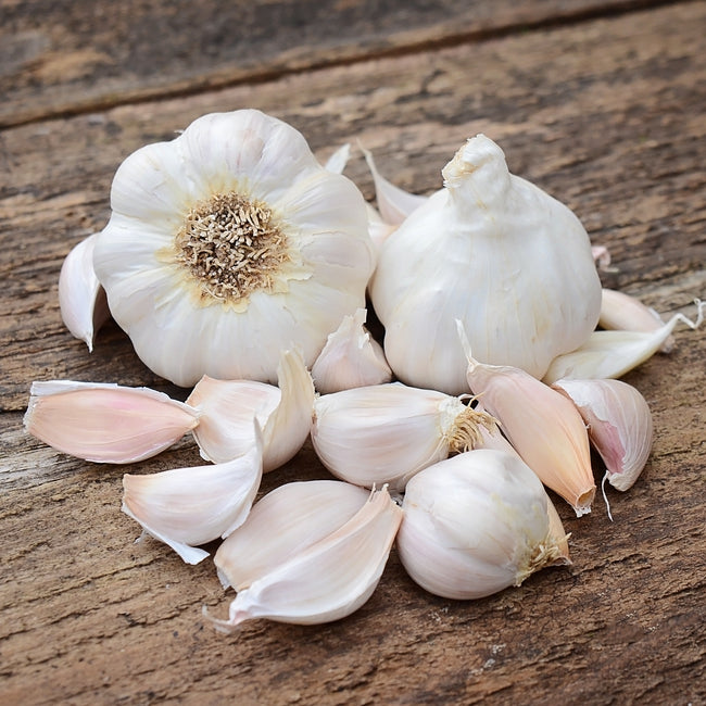 Close-up of two Silver White garlic bulbs and several loose cloves showing pure-white wrappers and plump cloves on a rustic wooden surface