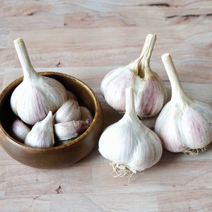 Close-up of Music garlic bulbs showing large white porcelain bulbs with a pink blush on a light background