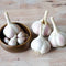 Close-up of Music garlic bulbs showing large white porcelain bulbs with a pink blush on a light background