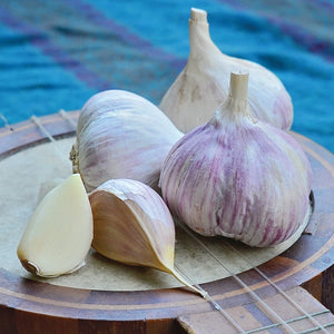 Close-up of Music garlic bulbs showing large cloves and white skin with a pink blush on a wooden plate