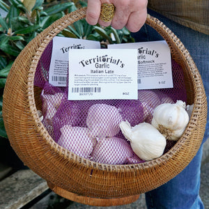 Top-down view of Braiding Bunch garlic assortment: softneck garlic bulbs in a woven basket with a product label