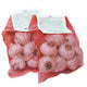 Front view of Great Garlic Combo (two 8 oz packs) showcasing garlic bulbs in red mesh bags on white background