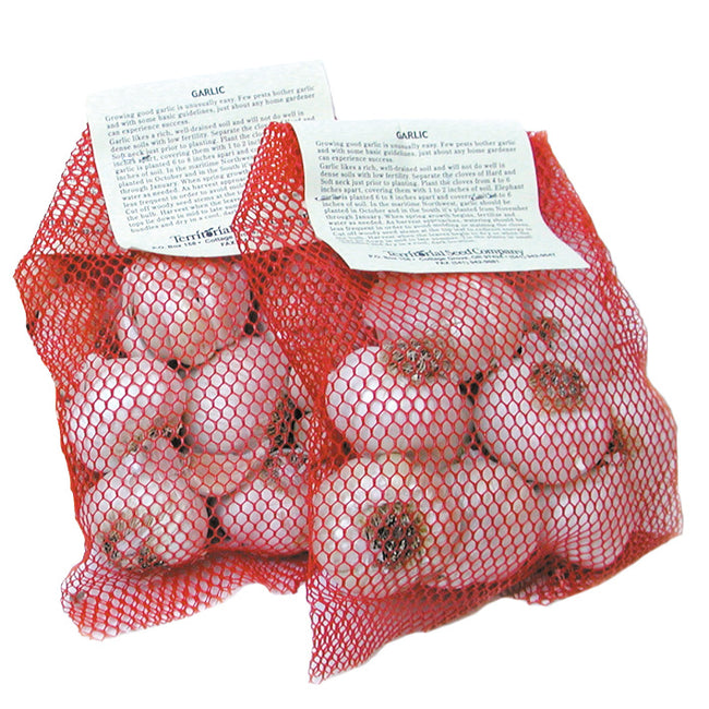 Front view of Great Garlic Combo (two 8 oz packs) showcasing garlic bulbs in red mesh bags on white background