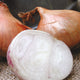 Close-up of Santé shallot bulbs showcasing extra-large round bulbs with brown skin and pinkish-white flesh on white background