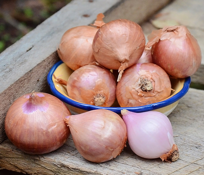 Front view of French shallot bulbs showing papery brown skins in a small cluster on a wooden surface