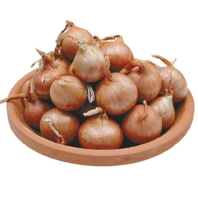 Close-up of French shallot bulbs in a wooden bowl showing smooth brown papery skins