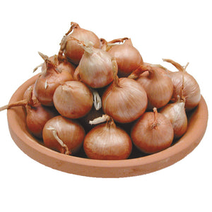 Close-up of French shallot bulbs in a wooden bowl showing smooth brown papery skins