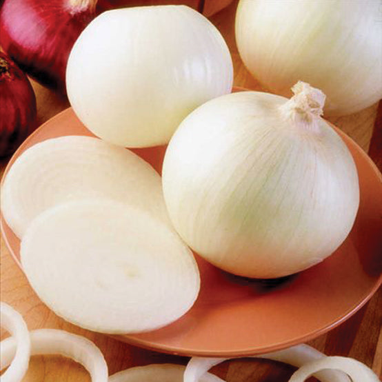Front view of Ringmaster onion plants showcasing white globe-shaped bulbs and dark green tops on a wooden bowl
