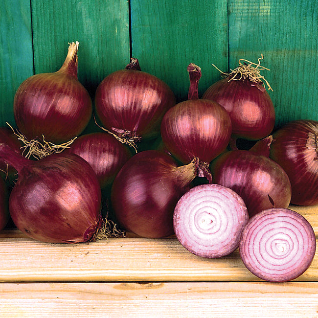 Front view of Southern Belle Red onion bulbs with deep ruby skins and a sliced bulb on a wooden shelf