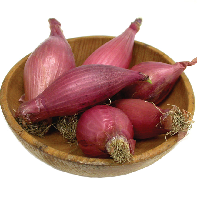 Close-up of Red Torpedo onion bulbs showing elongated maroon skins in a shallow wooden bowl