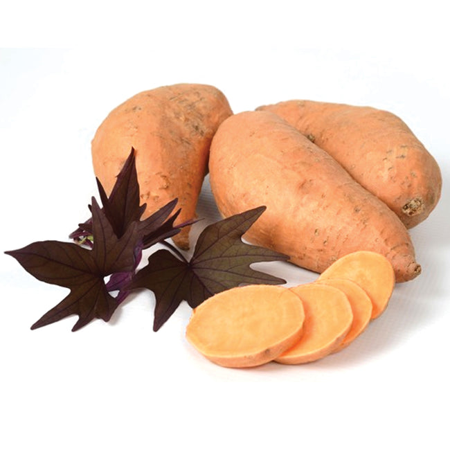 MANIHI-SWEET POTATO