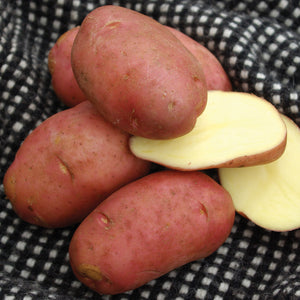Close-up of Désirée potatoes showing rosy red skin and creamy yellow flesh, whole and halved on black-and-white checkered cloth