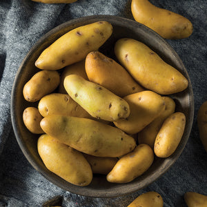 Close-up of Austrian Crescent potatoes showing long thin crescent-shaped pale yellow skins in a dark bowl