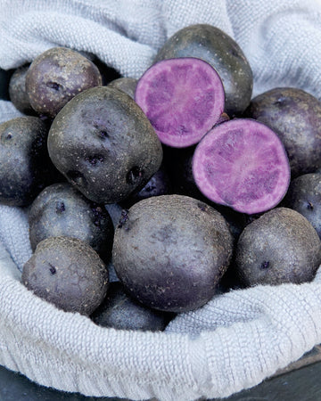 Overhead view of Blackberry potatoes showing deep purple flesh in whole and halved tubers in a cloth-lined basket