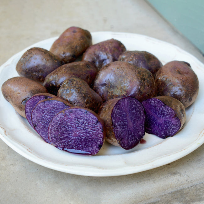 Close-up of Adirondack Blue potatoes showcasing vibrant purple flesh on a white plate