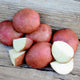 Front view of Sangre potatoes showcasing smooth deep red skins and white flesh on a wooden surface