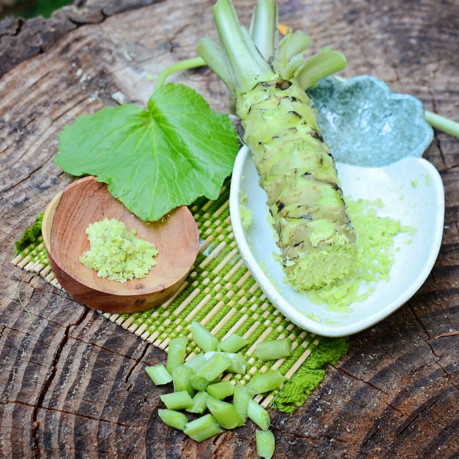 Front view of wasabi bare-root plant showing green leaves and exposed root on a wooden background