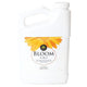 Front view of Age Old Bloom liquid fertilizer jug showcasing sunflower label and top handle on white background