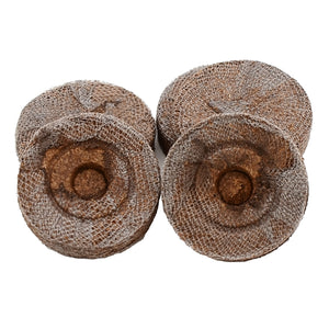 Top view of three J7 mini peat pellets (1 1/4 inch) showing netting and pre-formed seed cavities on white background