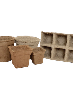 Front view of small cow pots made from composted cow manure for seed starting on white background