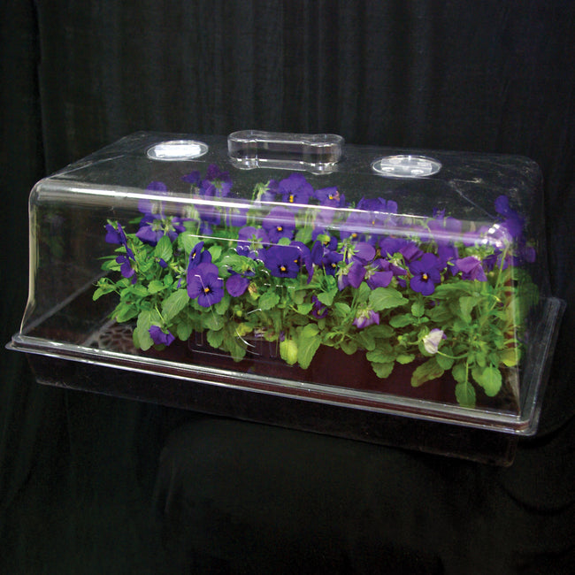 7" PROPAGATION DOME-FLAT/INSERT
