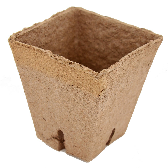 Angled view of a small square peat seed-starting pot showing biodegradable fiber texture on white background