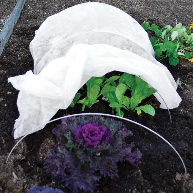 Front view of hoop support wires for coldframe showing eleven curved galvanized 9-gauge wires, each 46 inches long
