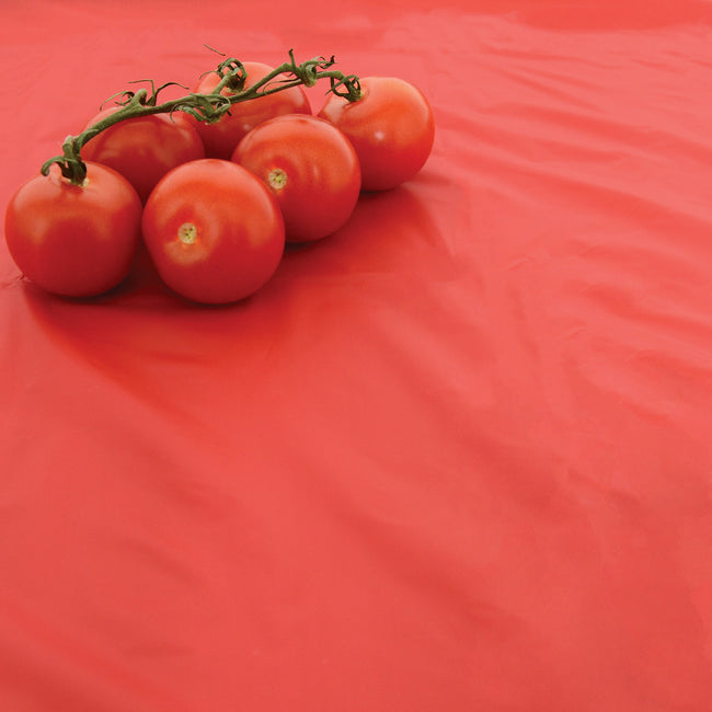 Close-up of Red Mulch film showcasing smooth reflective red plastic surface with tomatoes on top for scale