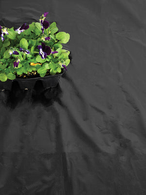 Top-down view of black plastic mulch sheet showcasing wrinkled surface with a small green seedling in the upper-left corner