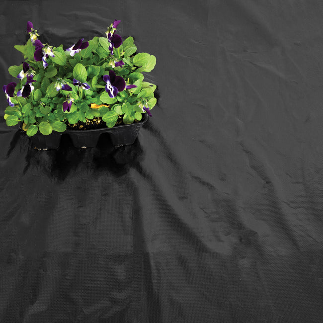 Top-down view of black plastic mulch sheet showcasing wrinkled surface with a small green seedling in the upper-left corner