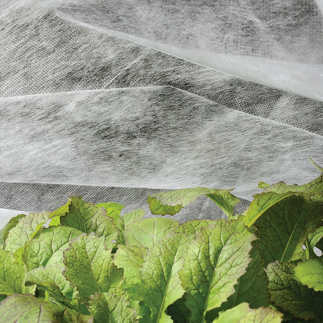 SUMMER INSECT BARRIER-ROW COVER