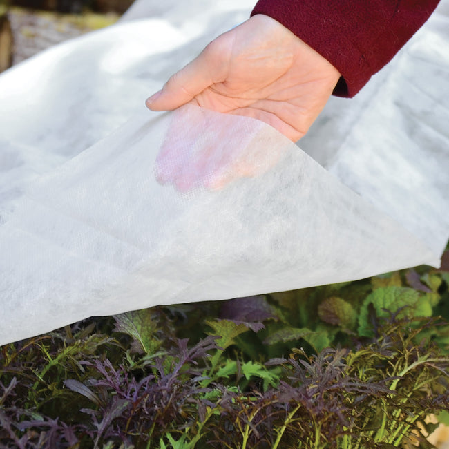 Close up of Grow Guard 20 row cover lifted by hand showcasing lightweight translucent fabric over leafy green plants