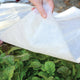 Close-up of Frost Blanket row cover draped over leafy garden plants, showing lightweight white fabric and porous texture