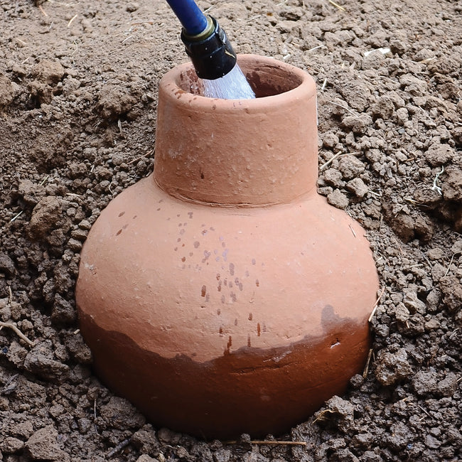 Front view of large unglazed terra cotta watering olla with narrow neck and lid set in soil
