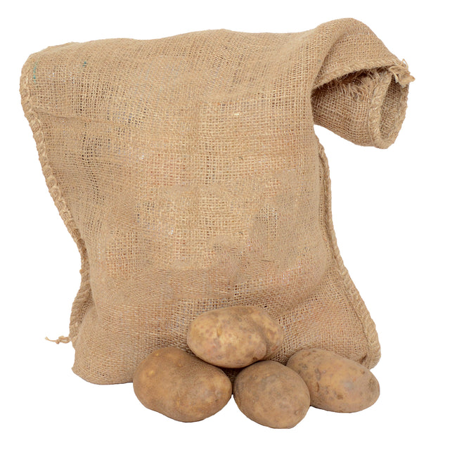 Front view of burlap potato storage bag showing coarse jute material with four potatoes on white background