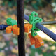 Close-up of C-Bite stake clips in tangerine snapped to a black garden stake showcasing connector design and netting hook