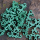 Close-up of C-Bite stake clips showing interlocking C-shaped design and attachment holes on white background