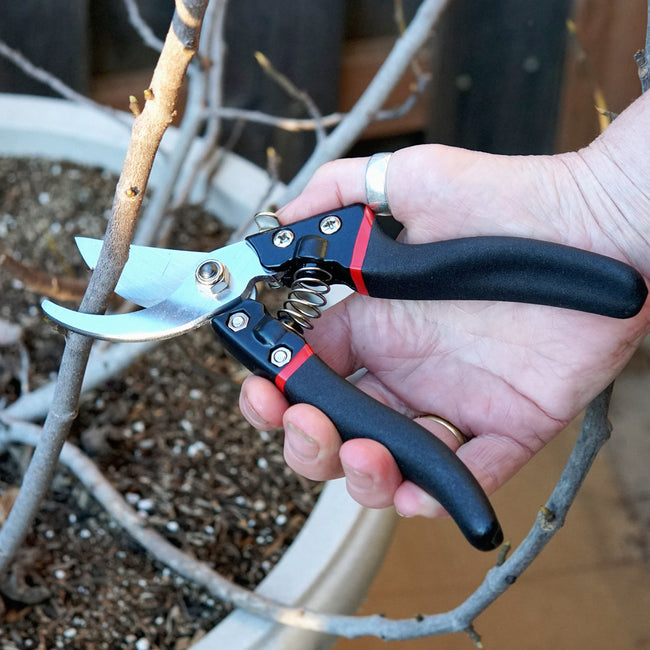 Close up of bypass pruner showing angled SK5 steel blade and ergonomic non-slip blue handles cutting a plant stem in a garden