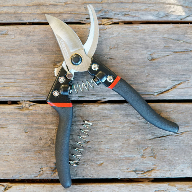Top down view of bypass pruner showcasing sharp curved blades and ergonomic black rubber handles on a wooden background