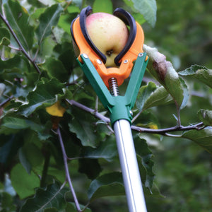 Front view of Long Reach Fruit Harvester on extended pole showcasing three cushioned fingers and fruit-catch basket on white background