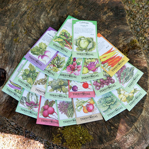 Top-down view of Winter Garden seed collection fanned to show illustrated seed packets of cool-season vegetables on a tree stump